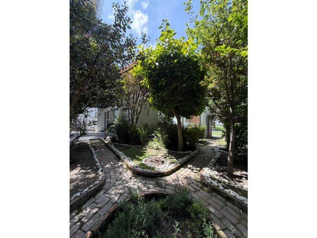 place photo 38