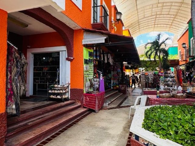 place photo 28