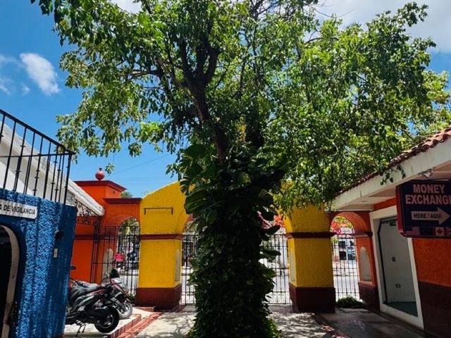 place photo 29