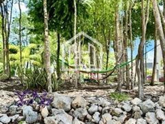place photo 40