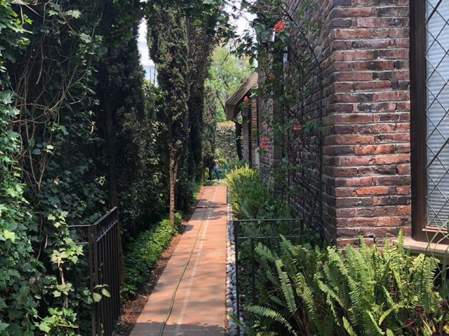 place photo 29