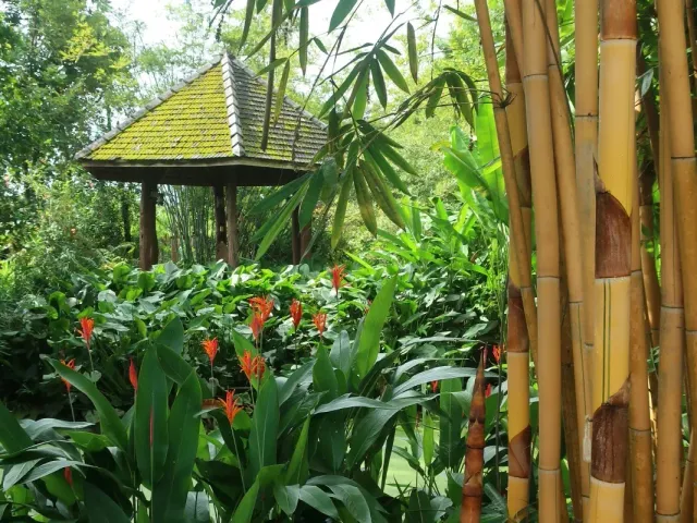 place photo 49