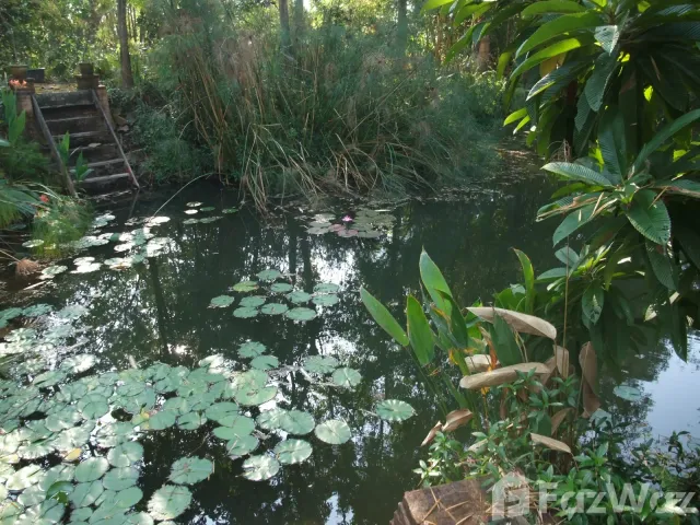 place photo 58