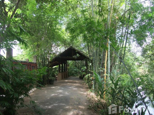 place photo 40