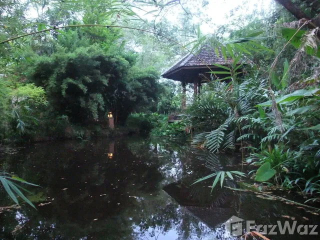 place photo 51