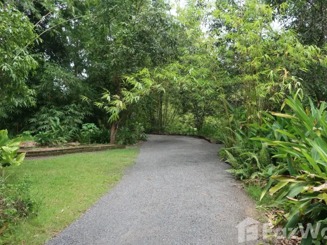 place photo 61