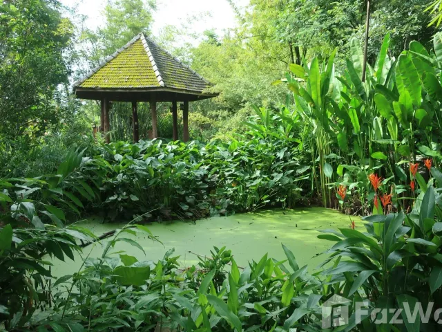 place photo 48