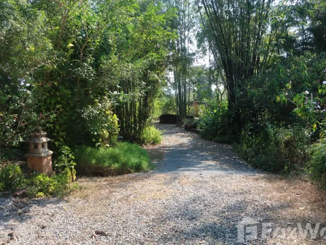 place photo 45