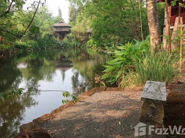 place photo 36