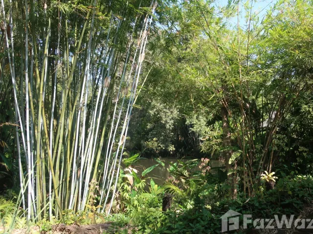 place photo 60