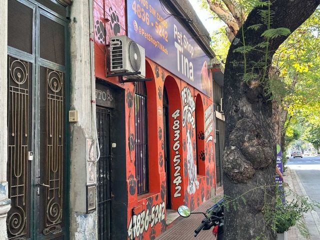 place photo 16