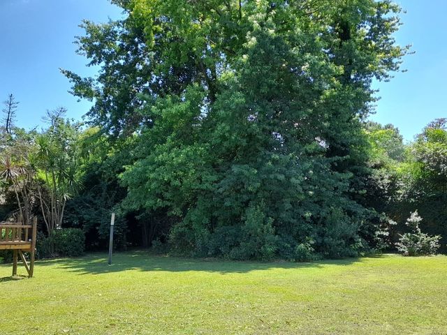 place photo 33