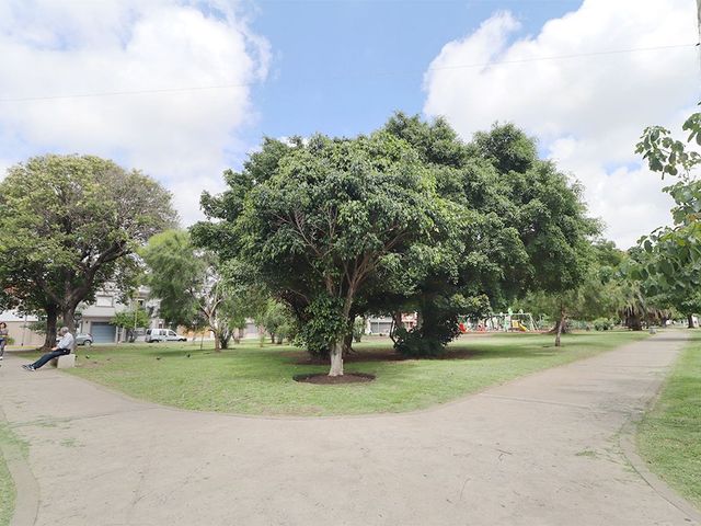 place photo 31