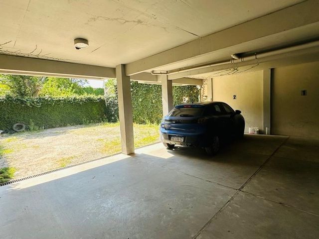 place photo 40