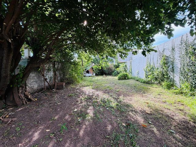 place photo 60