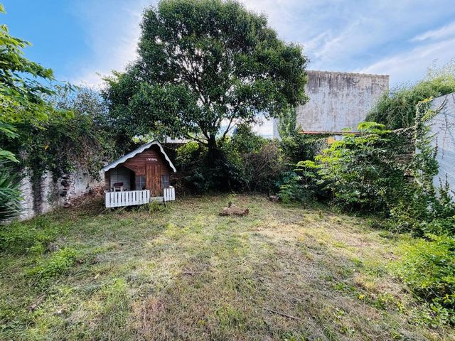 place photo 62