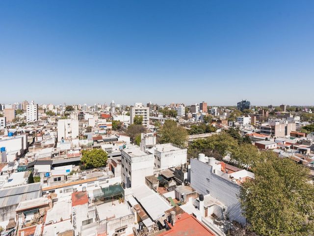 place photo 24