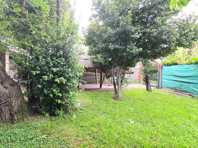 place photo 44
