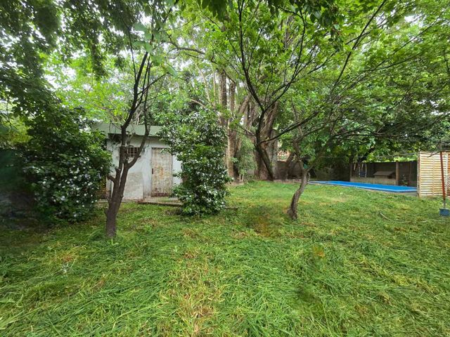 place photo 37