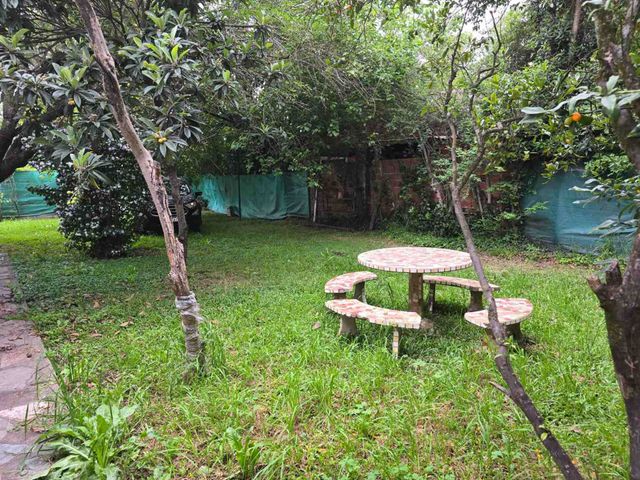 place photo 43