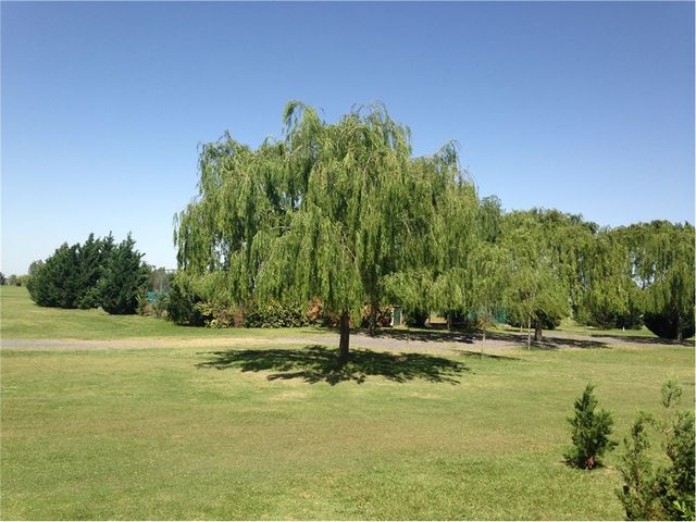 place photo 33