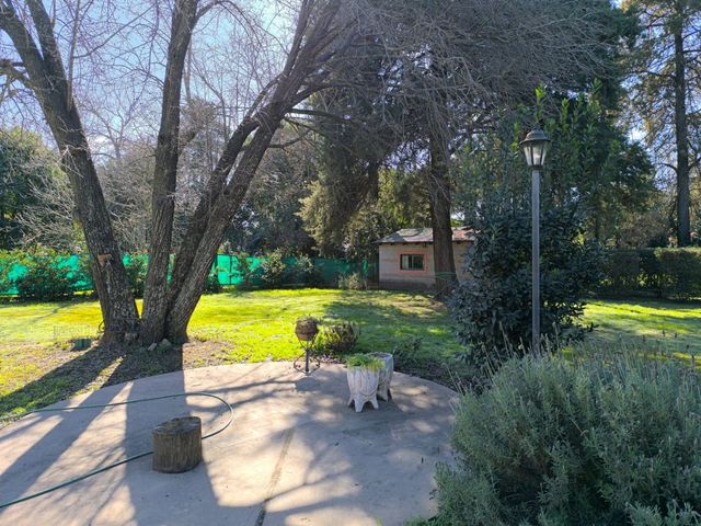 place photo 38