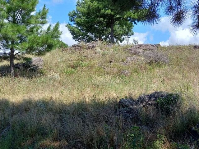 place photo 48