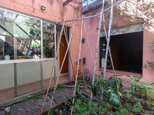 place photo 37