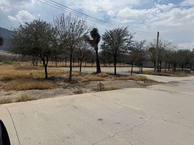 place photo 19