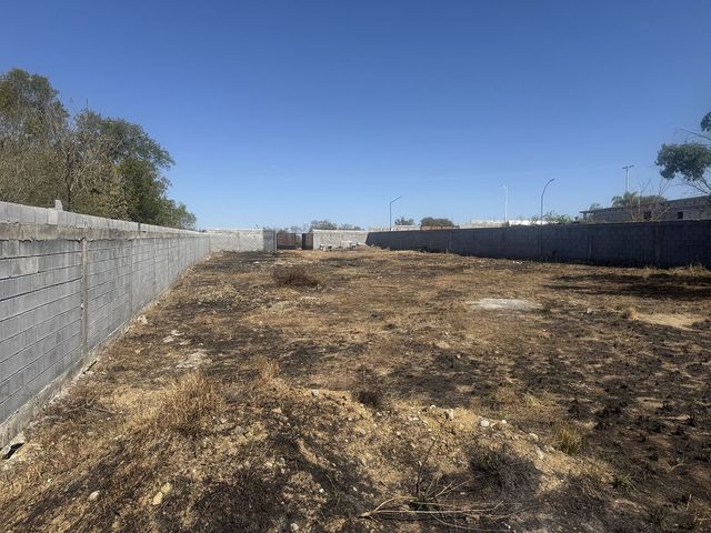 place photo 16