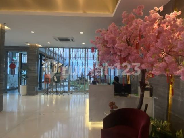 place photo 17