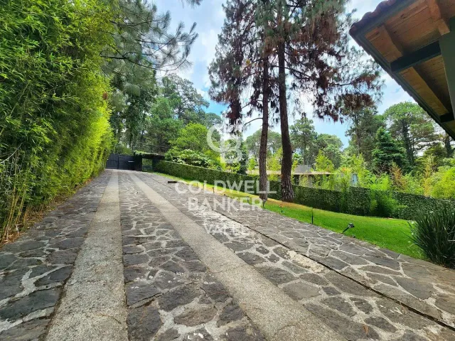 place photo 41