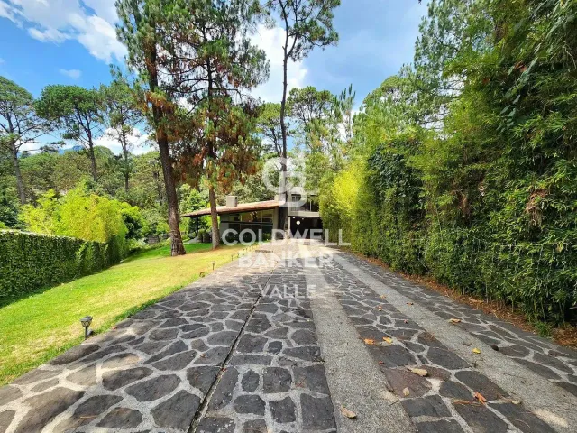 place photo 43
