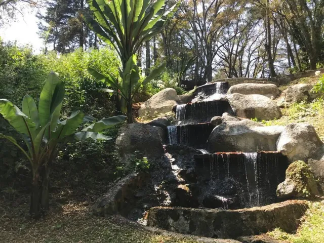 place photo 43