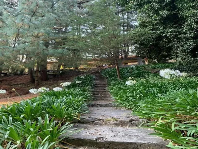 place photo 42