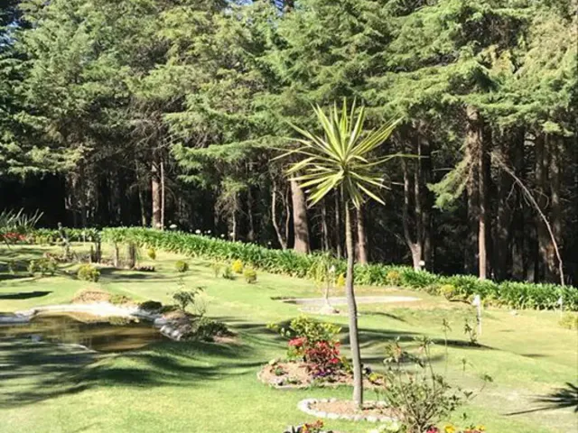 place photo 32