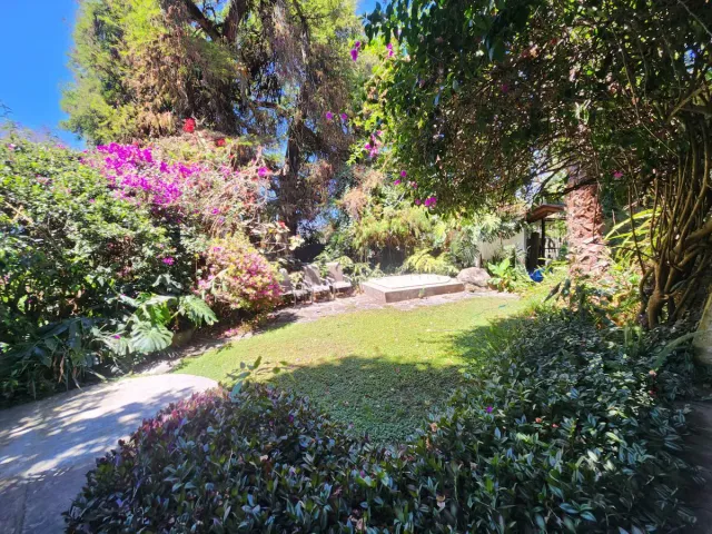place photo 34