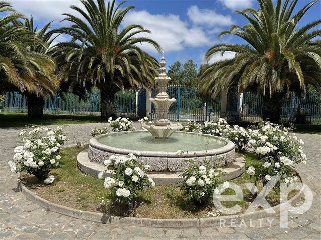 place photo 29