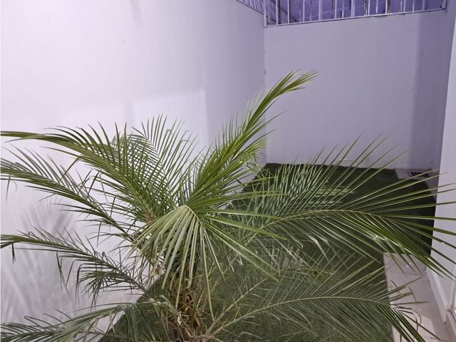 place photo 22