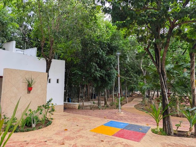 place photo 23