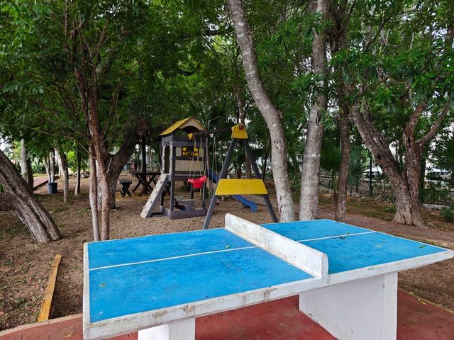 place photo 29