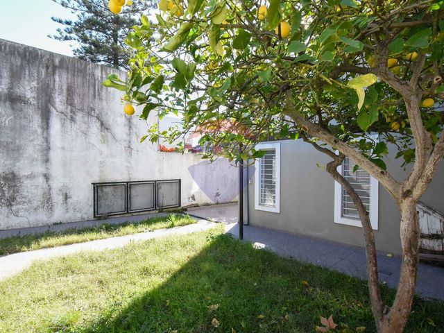 place photo 45