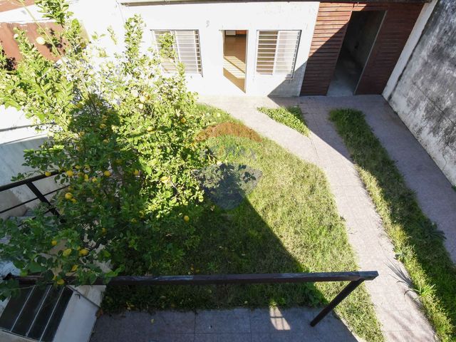 place photo 37