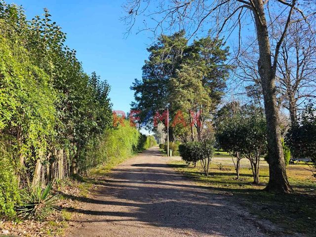 place photo 47
