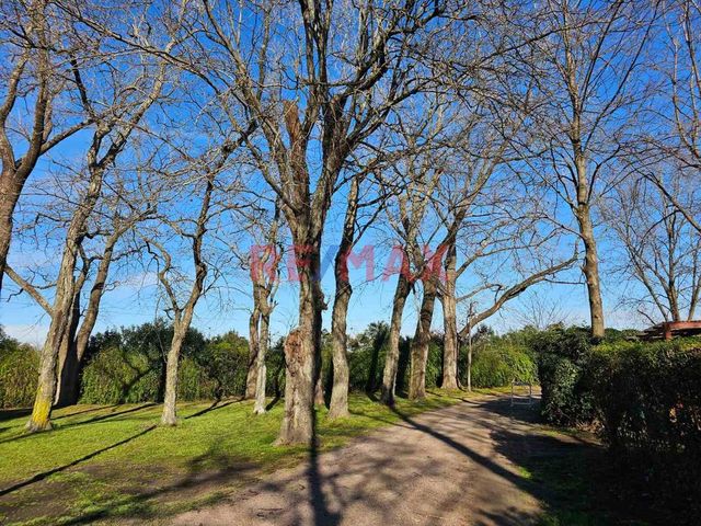 place photo 46