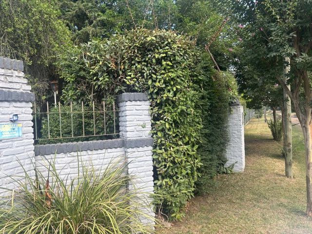 place photo 33