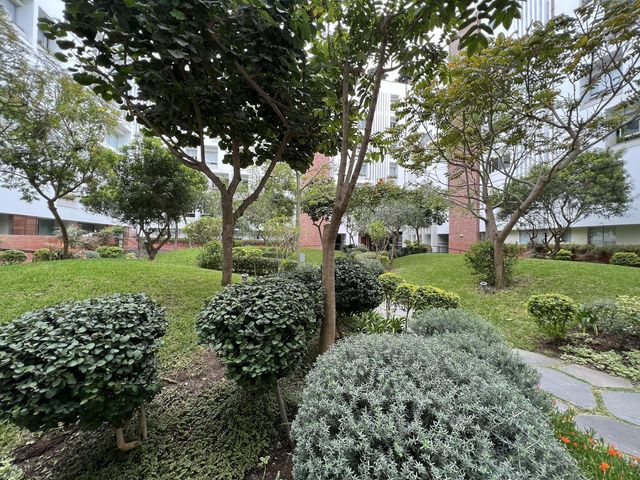 place photo 80