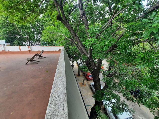 place photo 30