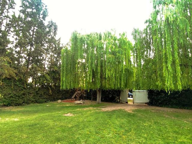 place photo 23