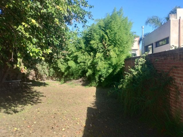 place photo 30